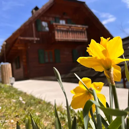 別荘 Holidayhouse Mahova Koca Zreče