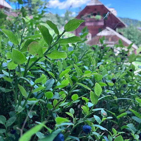 Holidayhouse Mahova Koca * Zreče
